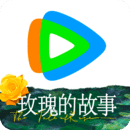 长腿的动物叫什么